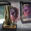 Magical Creatures #3 – Fwooper
