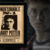 Harry Potter Undesirable Plaque