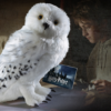 Hedwig Collector’s Plush