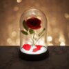 Enchanted Rose Light V3