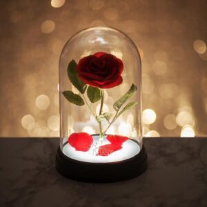 Enchanted Rose Light V3