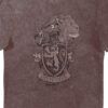 Harry Potter Gryffindor House Crest Red Vintage T-Shirt
