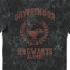 Harry Potter Gryffindor Hogwarts Alumni Vintage T-Shirt