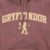 Harry Potter Gryffindor Vintage Style Adults Hoodie