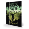Harry Potter Expecto Patronum Wood Panel Wall Art